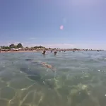 Natali Flogita