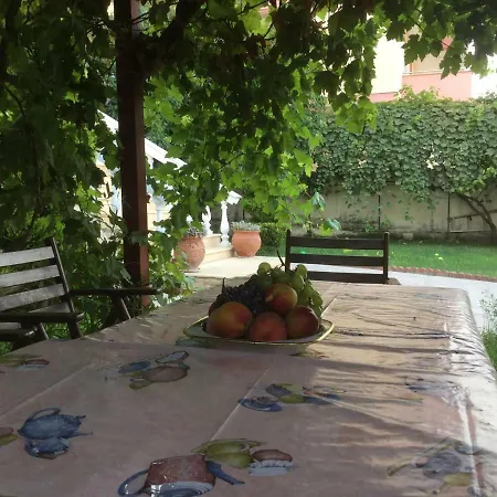 Natali Villa