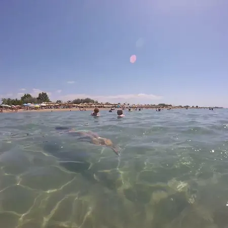 Natali Φλογητά